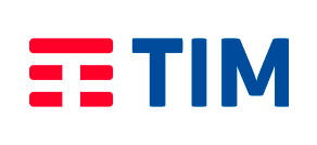 TIM 1